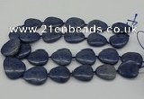 CNG5164 15.5 inches 16*22mm - 30*35mm freeform blue dumortierite beads