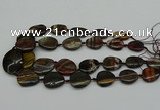 CNG5169 15.5 inches 16*22mm - 30*35mm freeform tiger iron beads