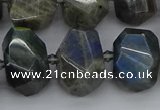 CNG5222 15.5 inches 12*16mm - 15*20mm faceted nuggets labradorite beads