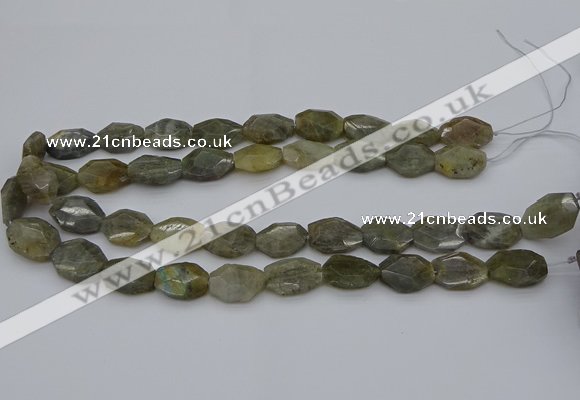 CNG5253 15.5 inches 13*18mm - 15*20mm faceted freeform labradorite beads