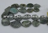 CNG5254 15.5 inches 22*30mm - 35*45mm faceted freeform labradorite beads