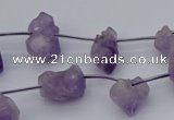 CNG5260 15.5 inches 5*8mm - 15*20mm nuggets amethyst beads