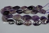 CNG5264 20*30mm - 22*35mm faceted freeform dogtooth amethyst beads