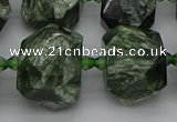 CNG5278 15.5 inches 13*18mm - 15*25mm faceted nuggets seraphinite beads