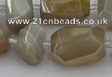 CNG5303 15.5 inches 12*16mm - 18*25mm faceted nuggets moonstone beads