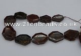 CNG5313 15.5 inches 20*30mm - 35*45mm freeform orange garnet beads