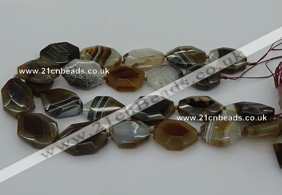 CNG5349 15.5 inches 25*35mm - 30*40mm faceted freeform agate beads