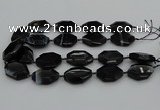 CNG5350 15.5 inches 25*35mm - 30*40mm faceted freeform agate beads