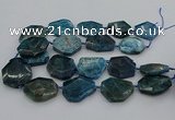 CNG5355 15.5 inches 20*30mm - 35*45mm faceted freeform apatite beads