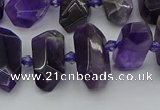 CNG5365 15.5 inches 12*16mm - 15*25mm faceted nuggets amethyst beads