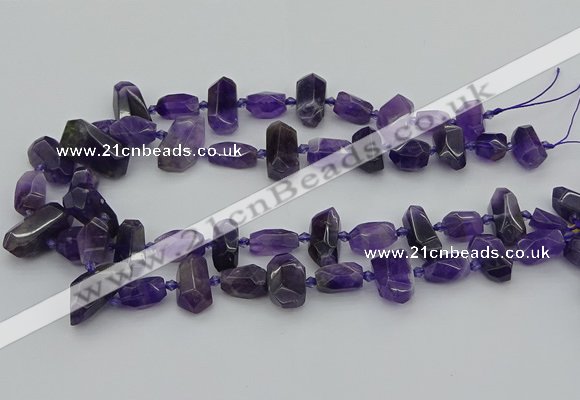 CNG5370 15.5 inches 10*15mm - 15*25mm faceted nuggets amethyst beads