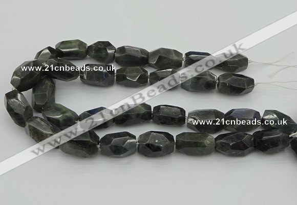 CNG5389 15.5 inches 12*16mm - 15*25mm faceted nuggets labradorite beads