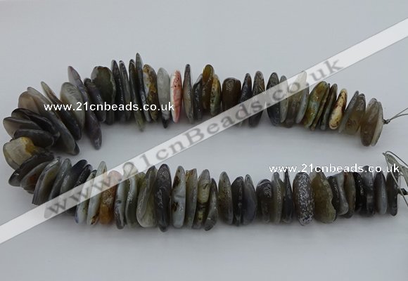 CNG5432 5*20mm - 8*25mm nuggets botswana agate gemstone beads