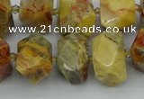 CNG5436 12*16mm - 15*20mm faceted nuggets crazy lace agate beads