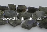 CNG5527 15.5 inches 6*8mm - 10*15mm nuggets labradorite beads