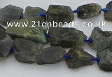 CNG5528 15.5 inches 10*14mm - 15*20mm nuggets labradorite beads