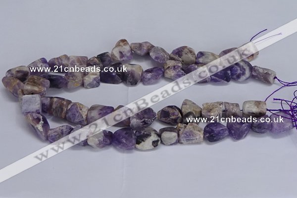 CNG5532 15.5 inches 10*14mm - 12*16mm nuggets dogtooth amethyst beads