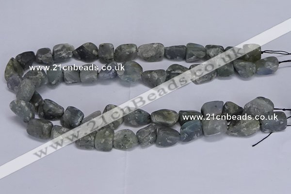 CNG5539 15.5 inches 10*14mm - 12*16mm nuggets labradorite beads