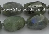 CNG5586 12*16mm - 15*25mm faceted nuggets labradorite beads