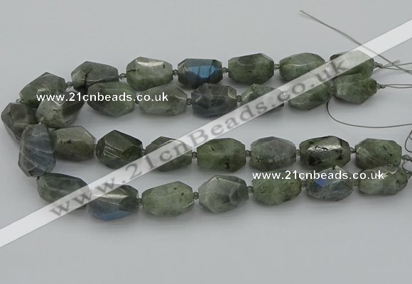 CNG5586 12*16mm - 15*25mm faceted nuggets labradorite beads