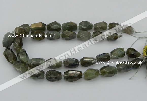 CNG5587 12*16mm - 15*25mm faceted nuggets labradorite beads