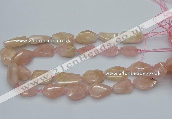 CNG5590 15.5 inches 15*20mm - 22*30mm faceted freeform morganite beads