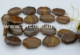 CNG5597 20*30mm - 35*45mm faceted freeform tiger iron beads