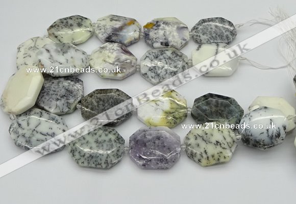 CNG5598 20*30mm - 35*45mm faceted freeform white opal gemstone beads