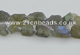 CNG5620 6*9mm - 10*16mm nuggets labradorite gemstone beads