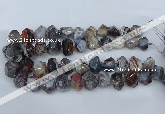 CNG5680 12*16mm - 15*20mm faceted nuggets botswana agate beads