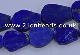 CNG5716 15.5 inches 12*16mm - 15*20mm freeform lapis lazuli beads