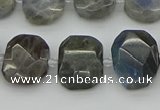 CNG5722 15.5 inches 12*16mm - 15*20mm faceted freeform labradorite beads