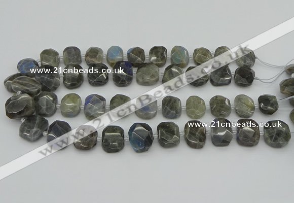 CNG5722 15.5 inches 12*16mm - 15*20mm faceted freeform labradorite beads