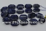 CNG5765 15.5 inches 20*30mm - 35*45mm faceted freeform sodalite beads