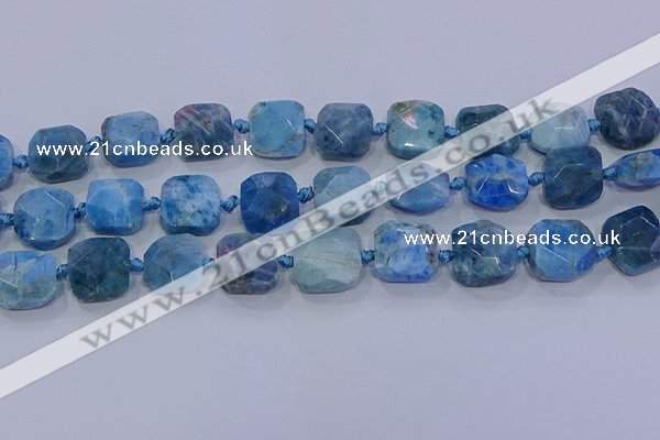 CNG5786 15.5 inches 10*12mm - 10*14mm faceted freeform apatite beads