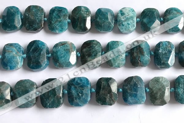 CNG5789 15.5 inches 13*18mm - 15*20mm faceted freeform apatite beads