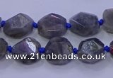 CNG5790 10*12mm - 10*14mm faceted freeform labradorite beads