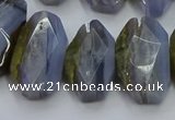 CNG5802 15*20mm - 22*28mm faceted freeform blue lace agate beads