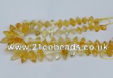 CNG5825 15.5 inches 8*18mm - 13*30mm freeform citrine beads