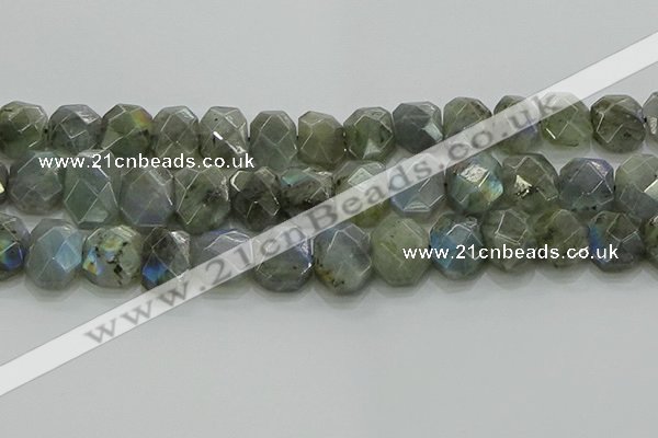 CNG5874 15.5 inches 8*12mm - 12*16mm faceted freeform labradorite beads