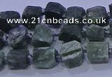 CNG5907 15.5 inches 4*6mm - 6*10mm nuggets rough seraphinite beads