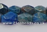 CNG5926 15.5 inches 10*14mm - 12*16mm faceted nuggets apatite beads