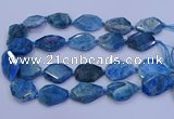 CNG5960 15.5 inches 18*25mm - 25*35mm faceted freeform apatite beads