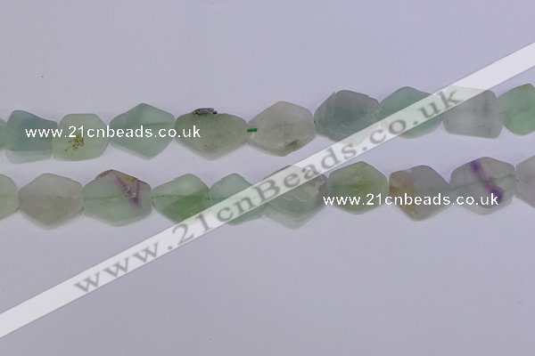 CNG6361 15.5 inches 14*18mm - 16*22mm freeform matte fluorite beads