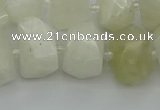 CNG6925 12*16mm - 15*20mm faceted nuggets white moonstone beads