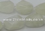 CNG6926 12*16mm - 15*25mm faceted nuggets white moonstone beads