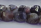 CNG6939 12*16mm - 13*18mm faceted nuggets Botswana agate beads