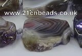 CNG6942 15.5 inches 18*25mm - 25*35mm freeform Botswana agate beads