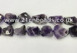 CNG6946 15.5 inches 22*25mm - 25*30mm freeform amethyst beads