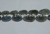 CNG7052 15.5 inches 25*35mm - 30*45mm freeform labradorite beads